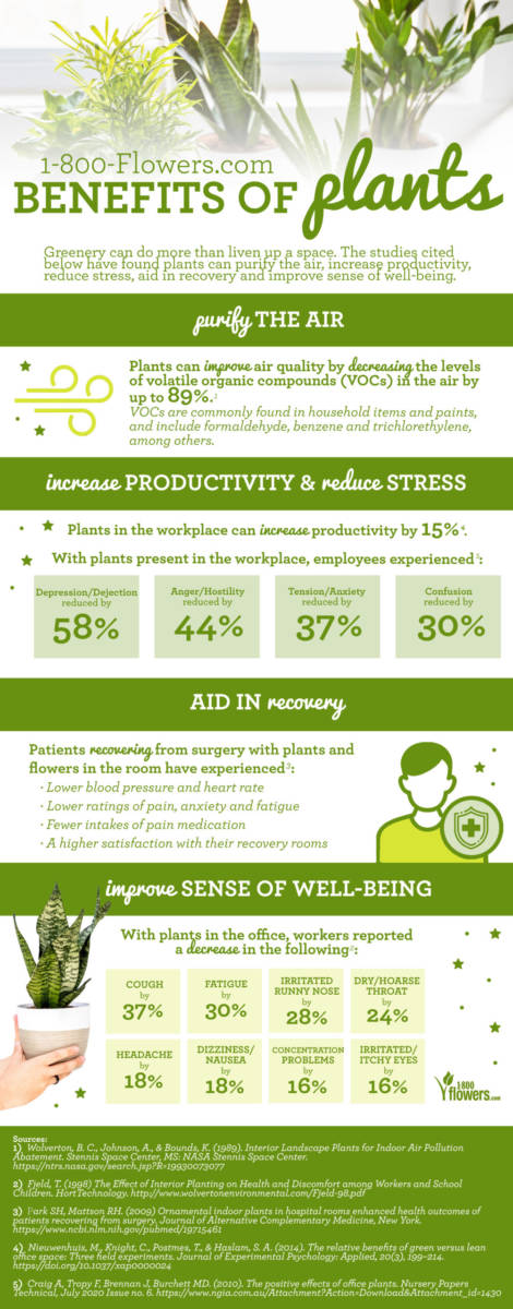 Benefits of plants infographic.