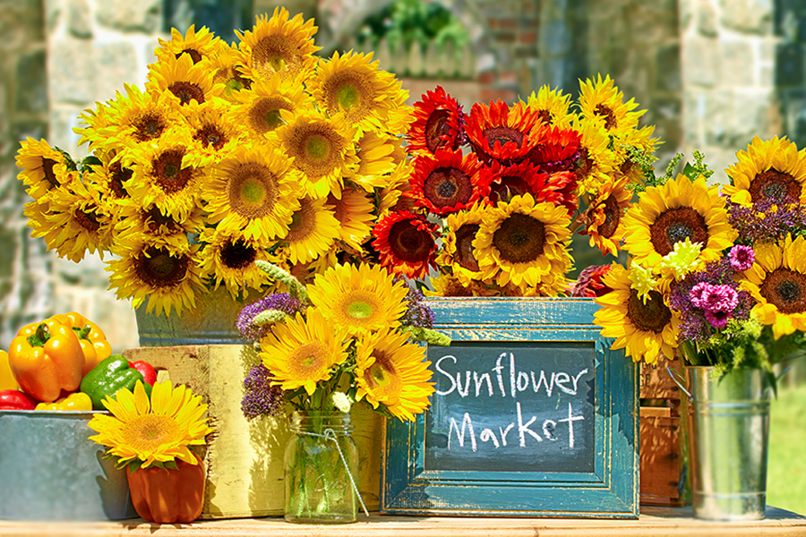 sunflower market