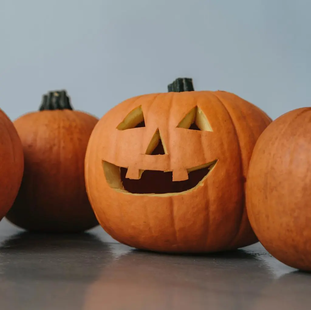 photo of fall activities with a Jack-o'-lantern