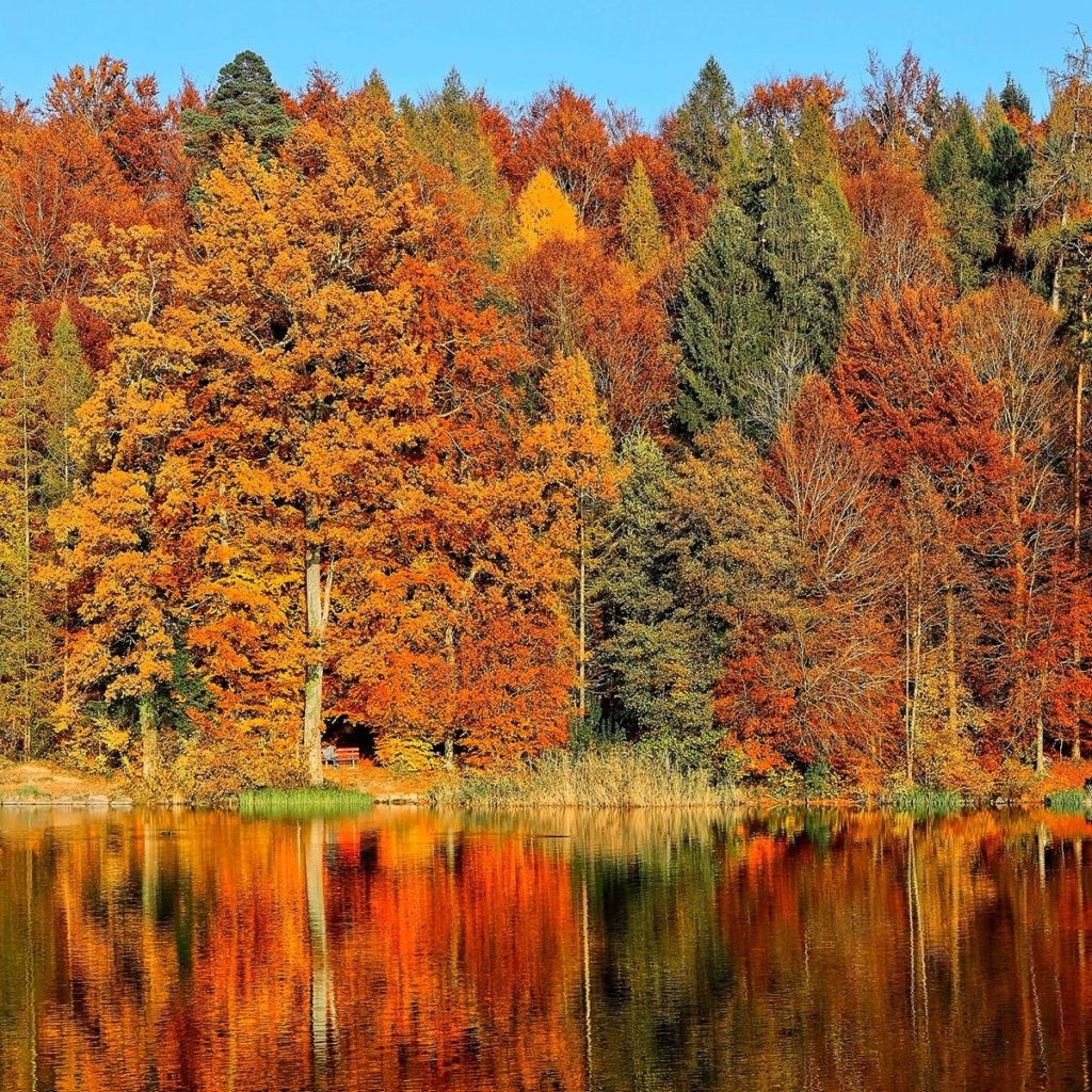 photo of fall activities with colorful autumn trees