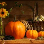 fall quotes with autumn still life with pumpkins and flowers
