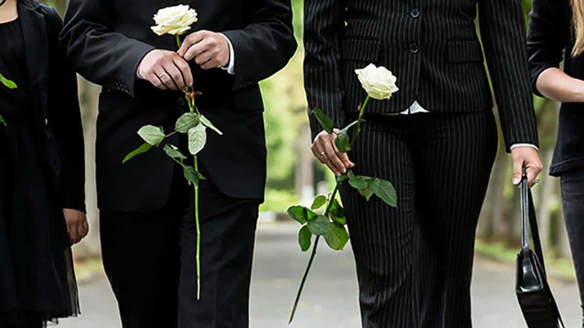 Sympathy Flowers Meanings and Significance Petal Talk