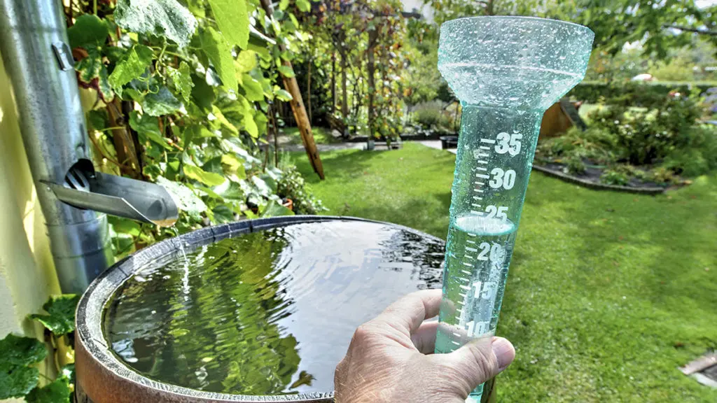 Rain gauge