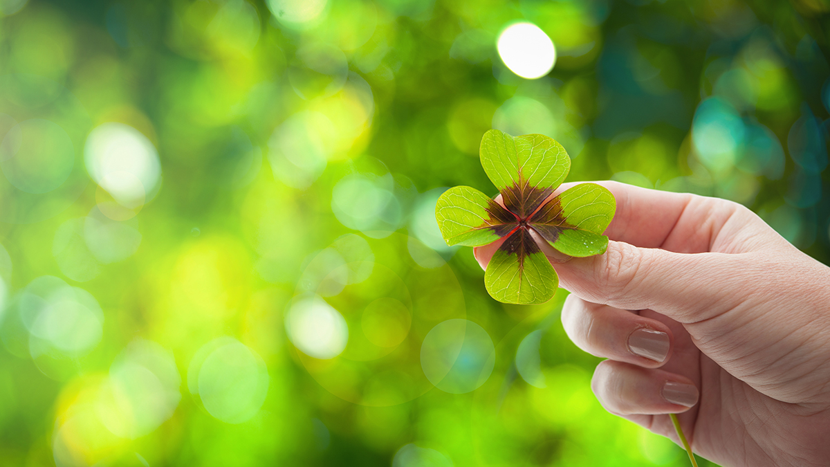 Four-leaf clover