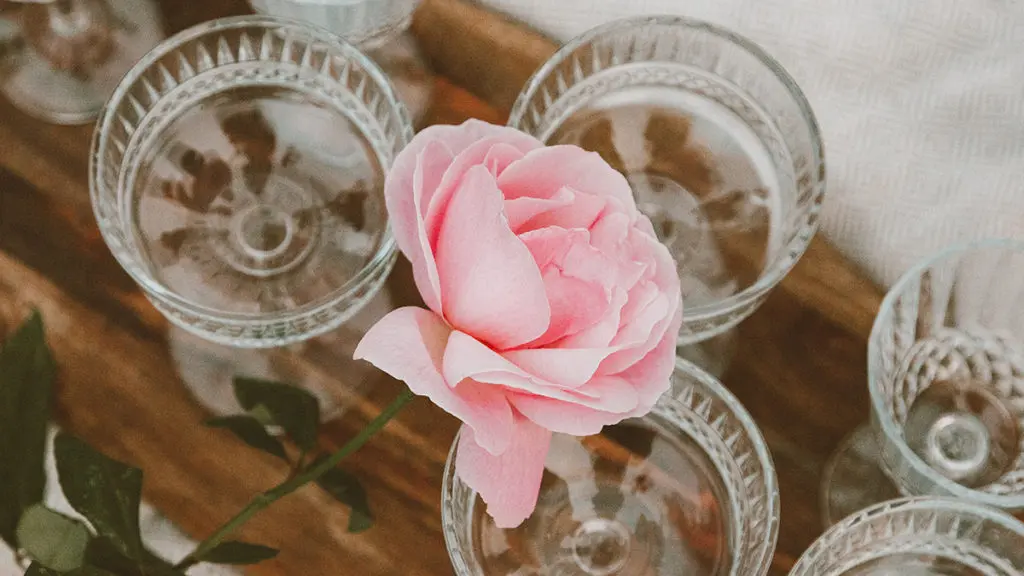 a photo of roses and rosé with a rose and wine glasses