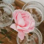 a photo of roses and rosé with a rose and wine glasses
