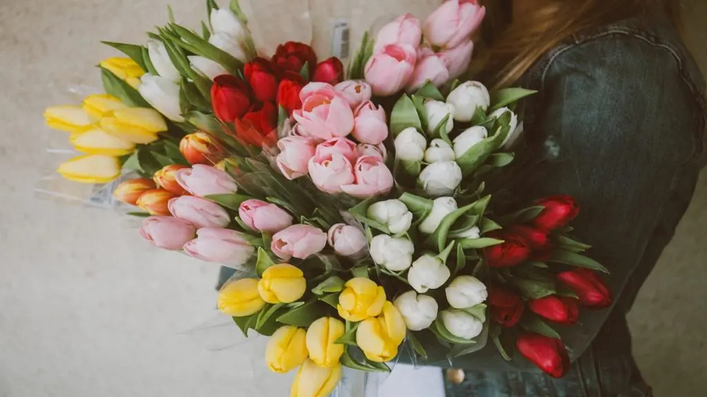 Woman holding tulips