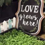 Image of a sign that reads love grows here