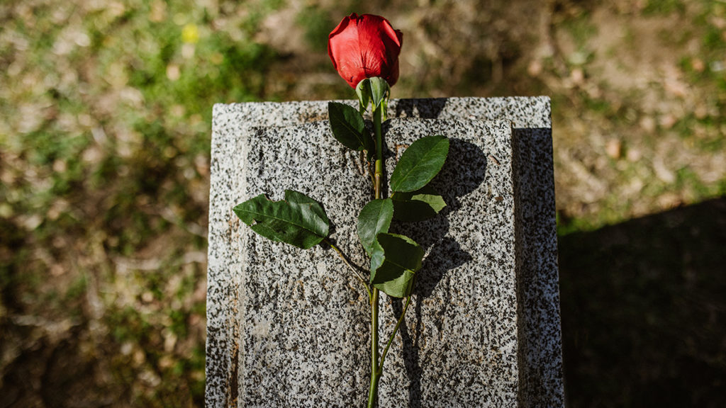 A photo of a rose against a headstone at a cemetery.