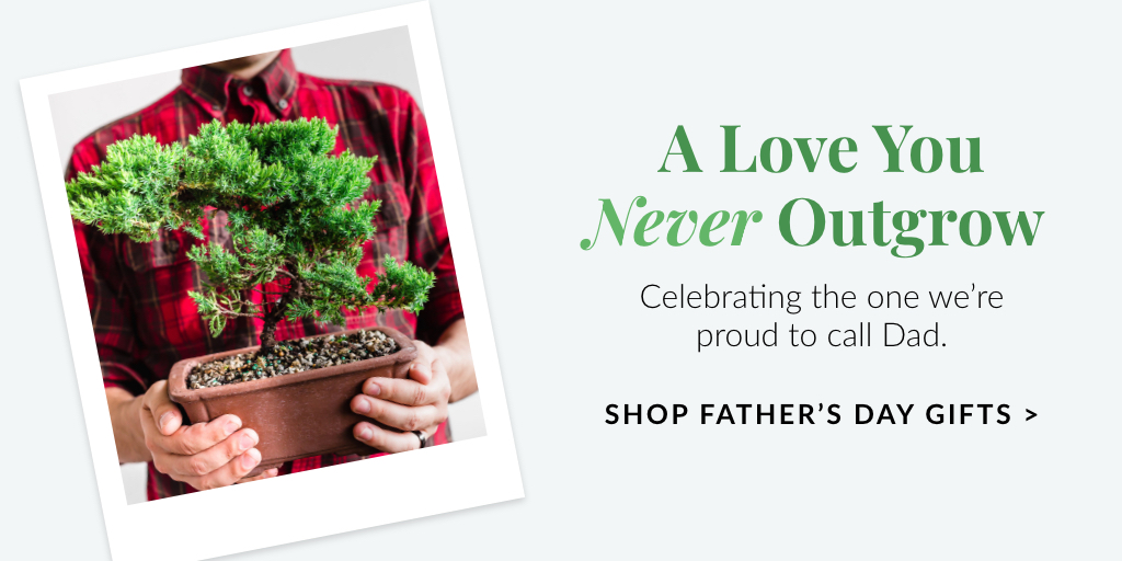 Fathers Day banner