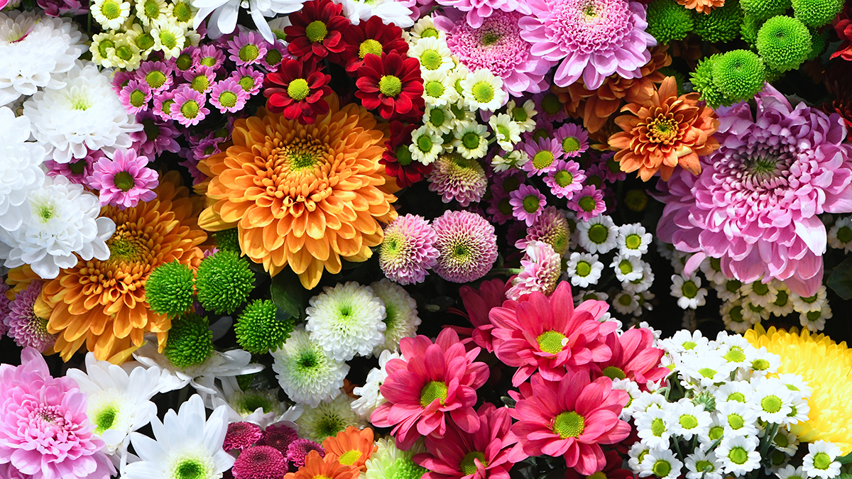 Astonishing Assortment of Flower Bouquet Pictures in Full 4K Quality ...