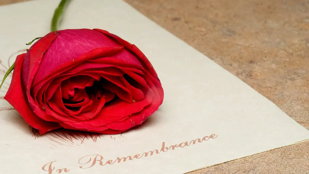 A funeral bulletin with a single red rose