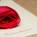 A funeral bulletin with a single red rose
