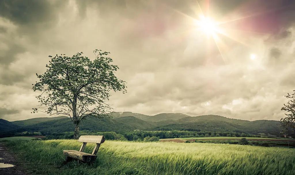 Paysage calme et nostalgique pour le recueillement