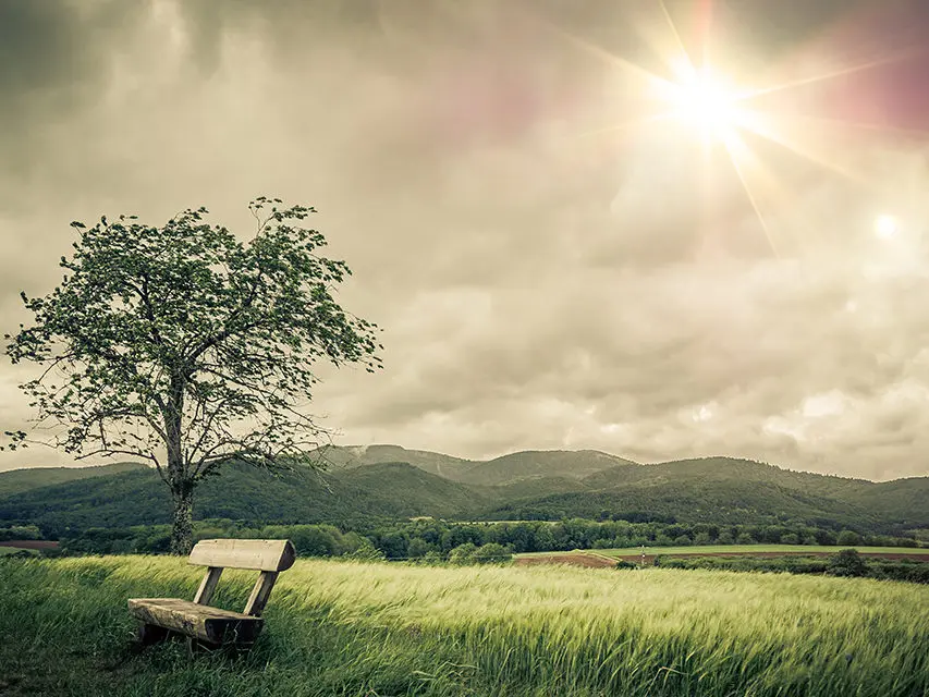 Paysage calme et nostalgique pour le recueillement