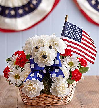 photo of fourth of july with yankee doodle doggie flowers