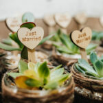 Small succulent wedding favors potted plant