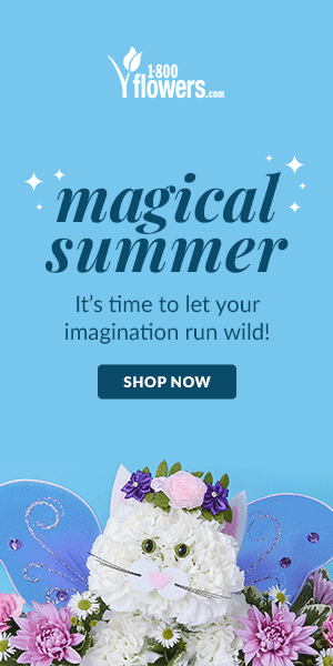 magical summer ad
