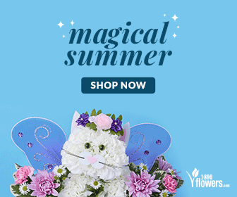 An ad for 1-800-Flowers.com's Magical Summer collection of flowers.