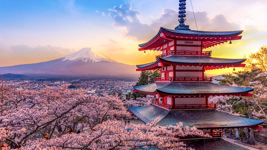 Photo of Mt. Fuji and Chureito pagoda at sunset, with Japanese flowers (cherry blooms) in the background
