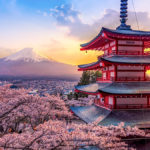 Photo of Mt. Fuji and Chureito pagoda at sunset, with Japanese flowers (cherry blooms) in the background