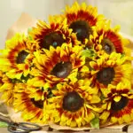 friendship flowers with sunflowers