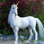 facts about unicorns with unicorn looking majestic