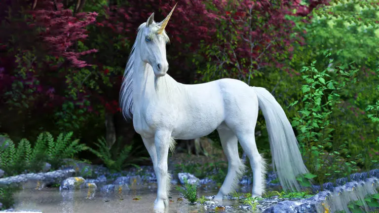 facts about unicorns with unicorn looking majestic