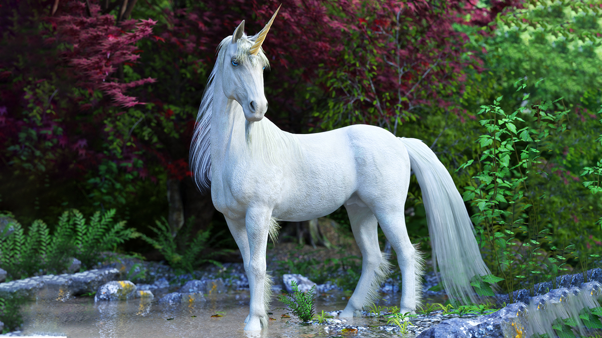 10 Magical Facts About Unicorns | 1800Flowers Petal Talk