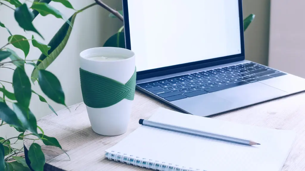 Photo of a modern office workspace freshened up with a desk plant