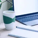 Photo of a modern office workspace freshened up with a desk plant