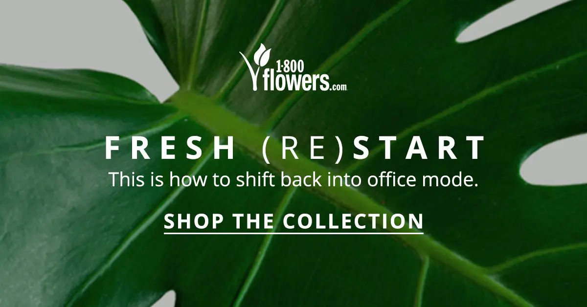 fresh restart office collection ad