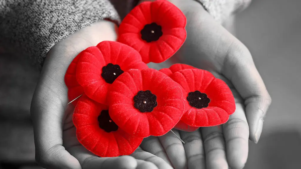 importance of remembrance with woman holding a collection of poppies.