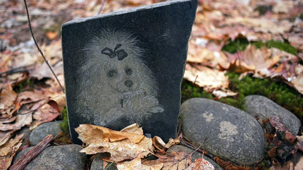 Photo of a memorial to a poodle showcasing one way to express pet sympathy
