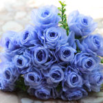 Blue roses are incredibly rare because they’re engineered rather than grown naturally. For this reason, gifting someone blue roses tells them that they’re unique, one-of-a-kind, and truly special.