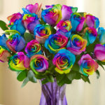 With a bit of every color in their petals, kaleidoscope roses tell your partner that they’re simultaneously your best friend and lover, appreciated and respected, and most importantly, unique.