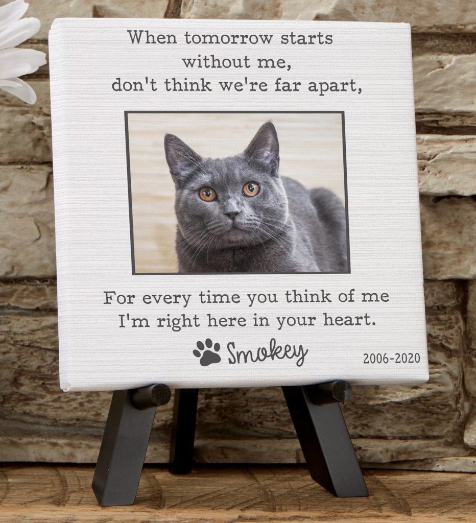 25 Card Messages and Ideas to Express Pet Sympathy | Petal Talk