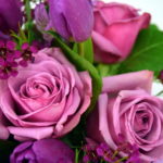 If you and your loved one have a storybook, love at first sight romance, purple roses are the flowers for you. With ties to nobility and royalty, purple roses tell the one you love that she is the most important woman in your life and your Queen.