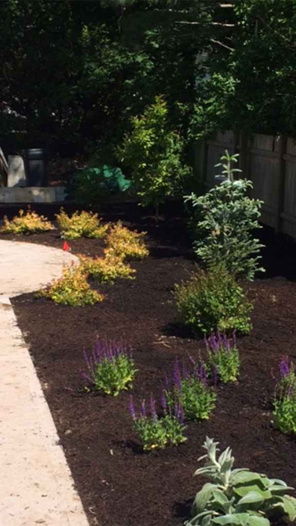 Photo of the memory garden at Rosewood Manor, which treats people with dementia by using plants, flowers, and gardening.