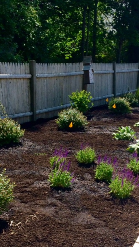 Photo of the memory garden at Rosewood Manor, which treats people with dementia by using plants, flowers, and gardening.