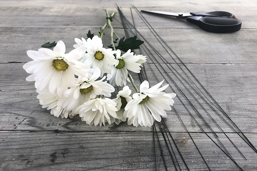 Photo of daisies, a critical component of a flower child costume