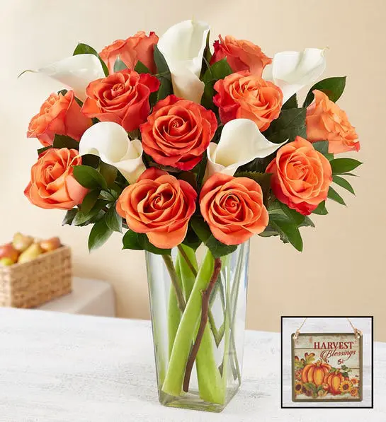 Picture of orange Halloween roses with calla lilies