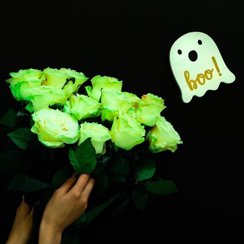 Picture of Halloween roses that glow in the dark