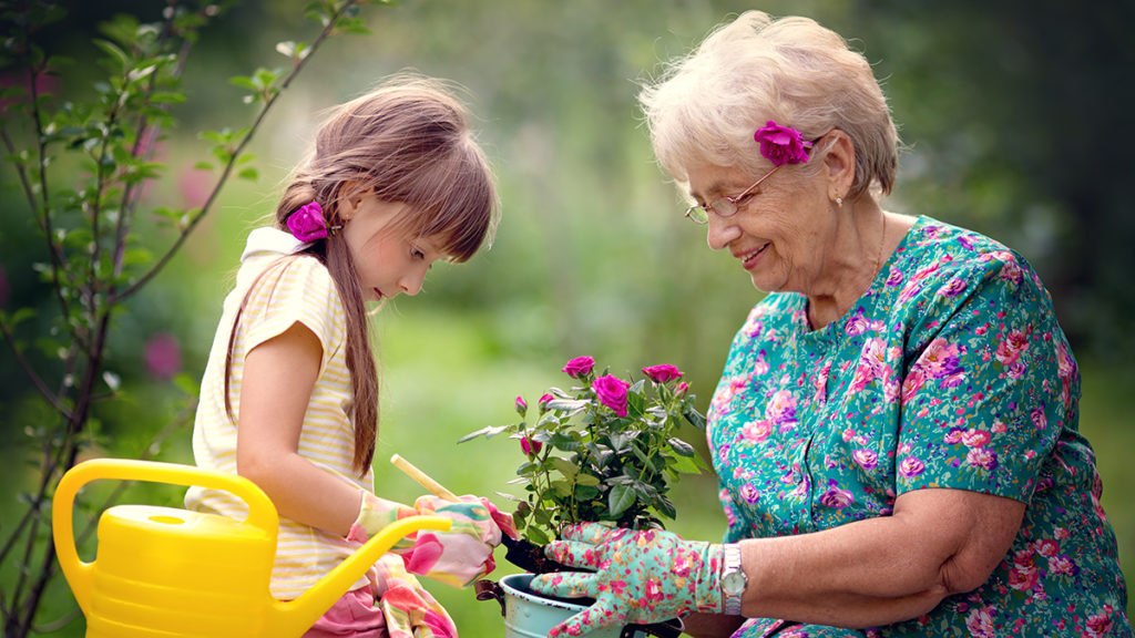 Photo from memory gardens that help people with dementia by using plants, flowers, and gardening.
