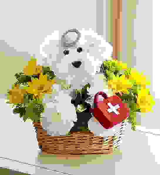 A photo of a get-well floral gift