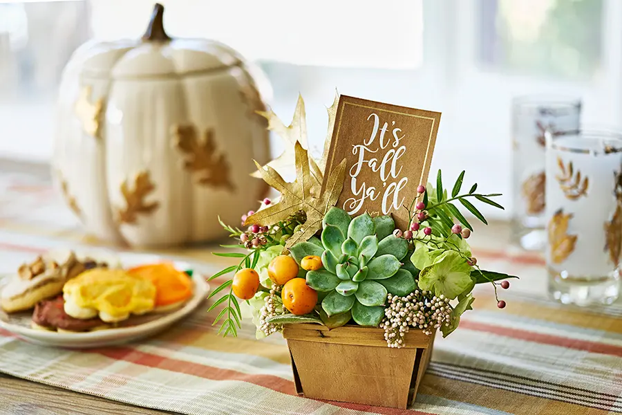 thanksgiving decorating ideas with fall succulents for Thanksgiving