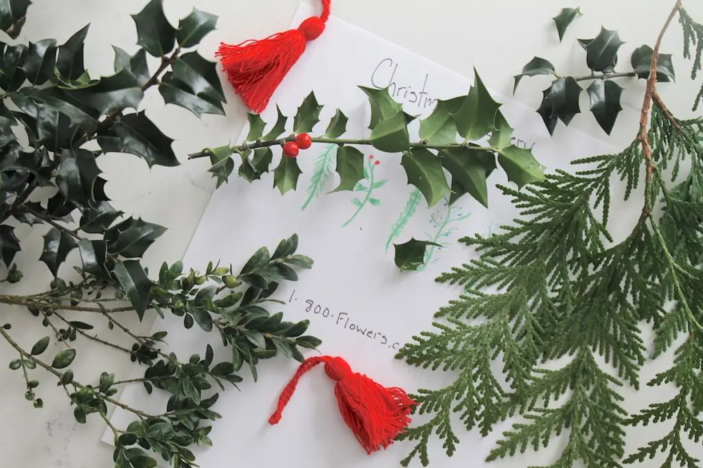 Christmas greenery with holly