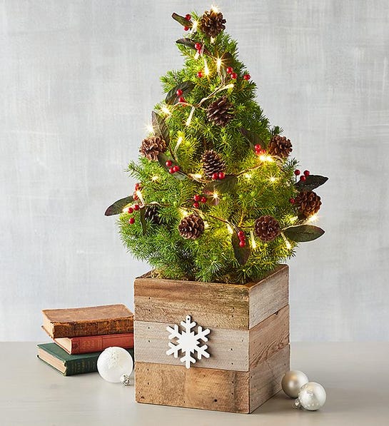 Picture of Christmas tabletop tree for office