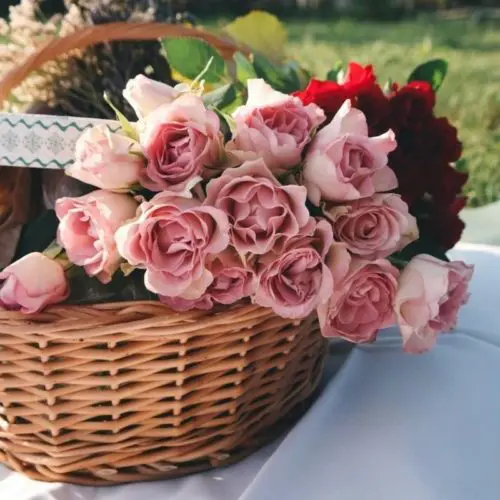 Picture of roses in basket