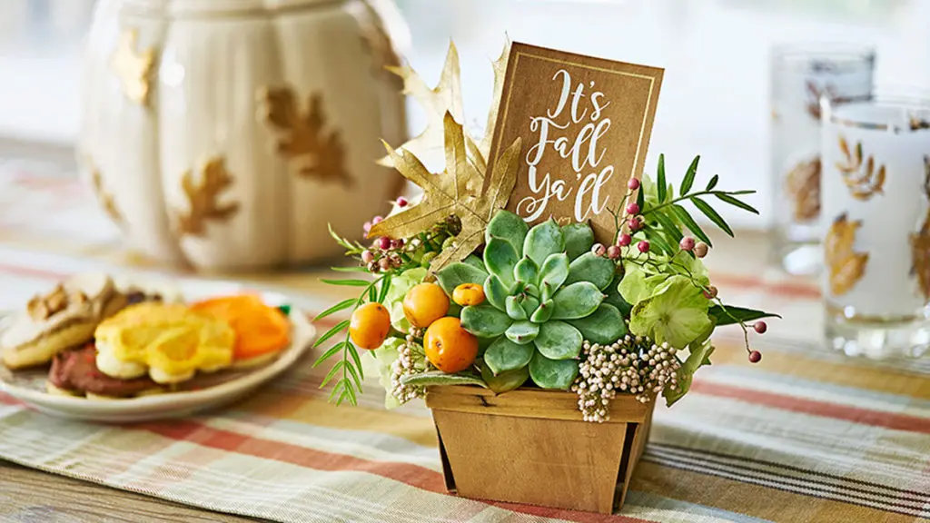 Picture of fall succulents for Thanksgiving